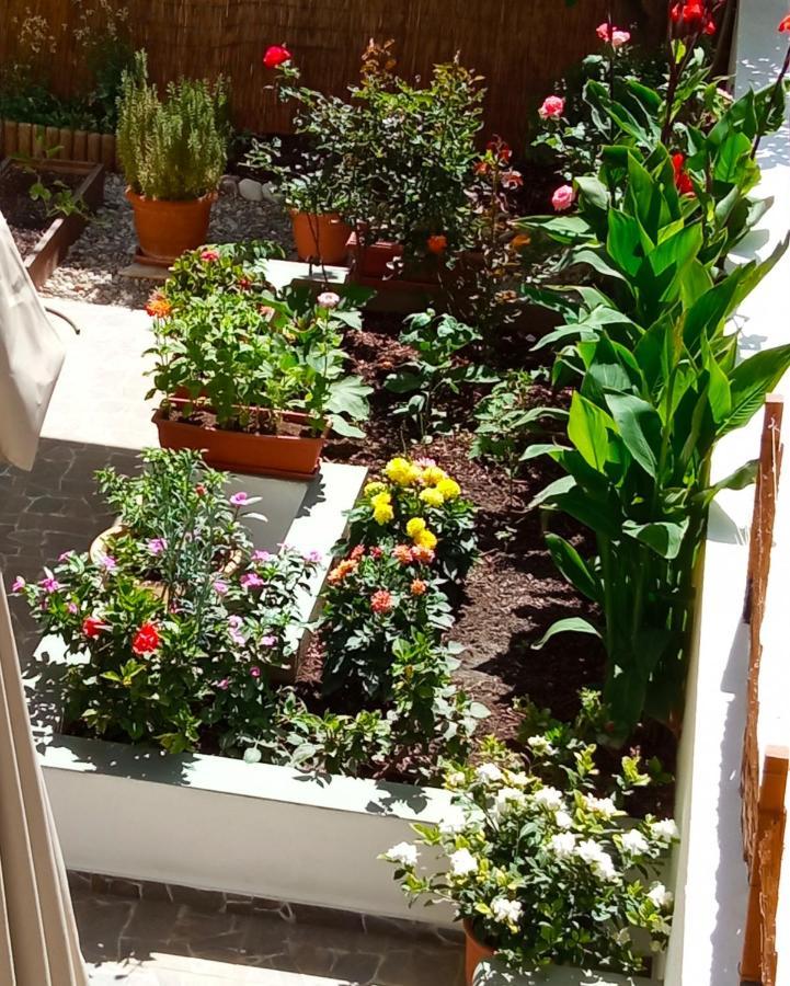 Charming Garden Apartment Rhodes City Quarto foto